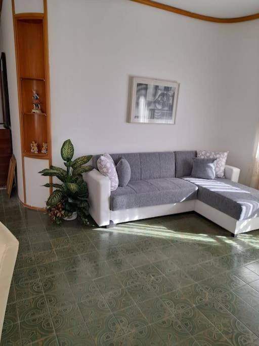 Apartment L'angolo